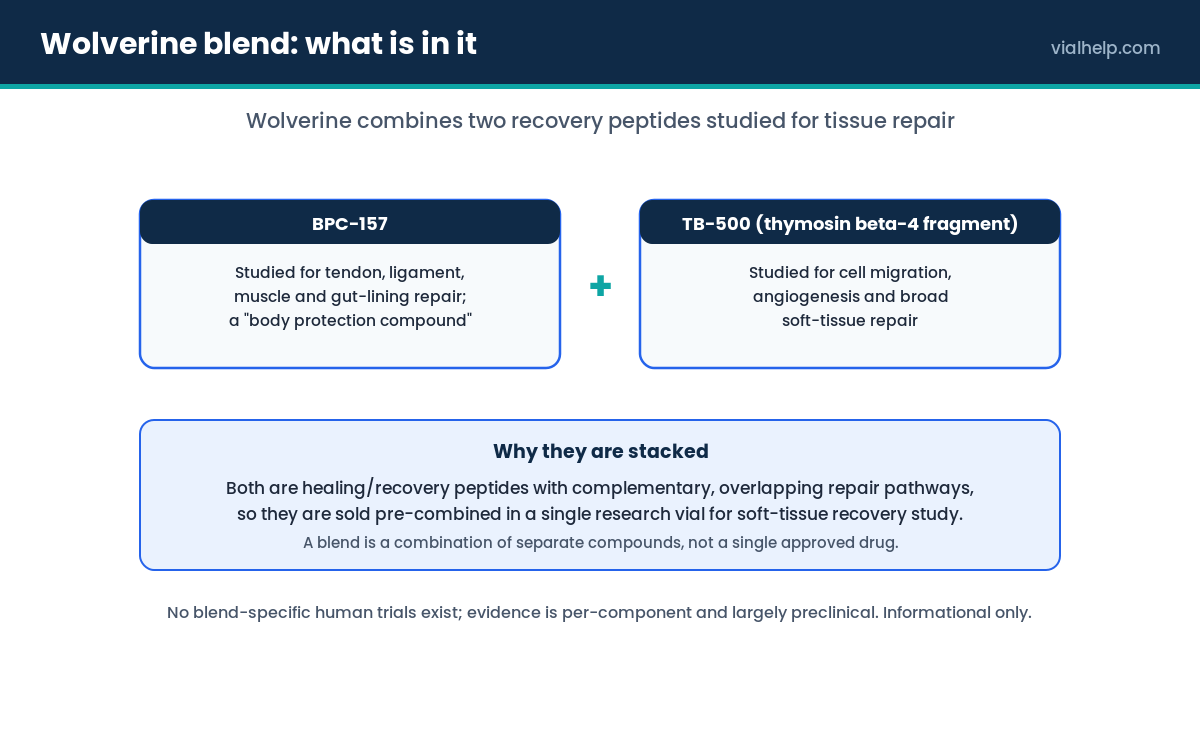 Wolverine peptide blend composition diagram showing its component compounds and what each contributes