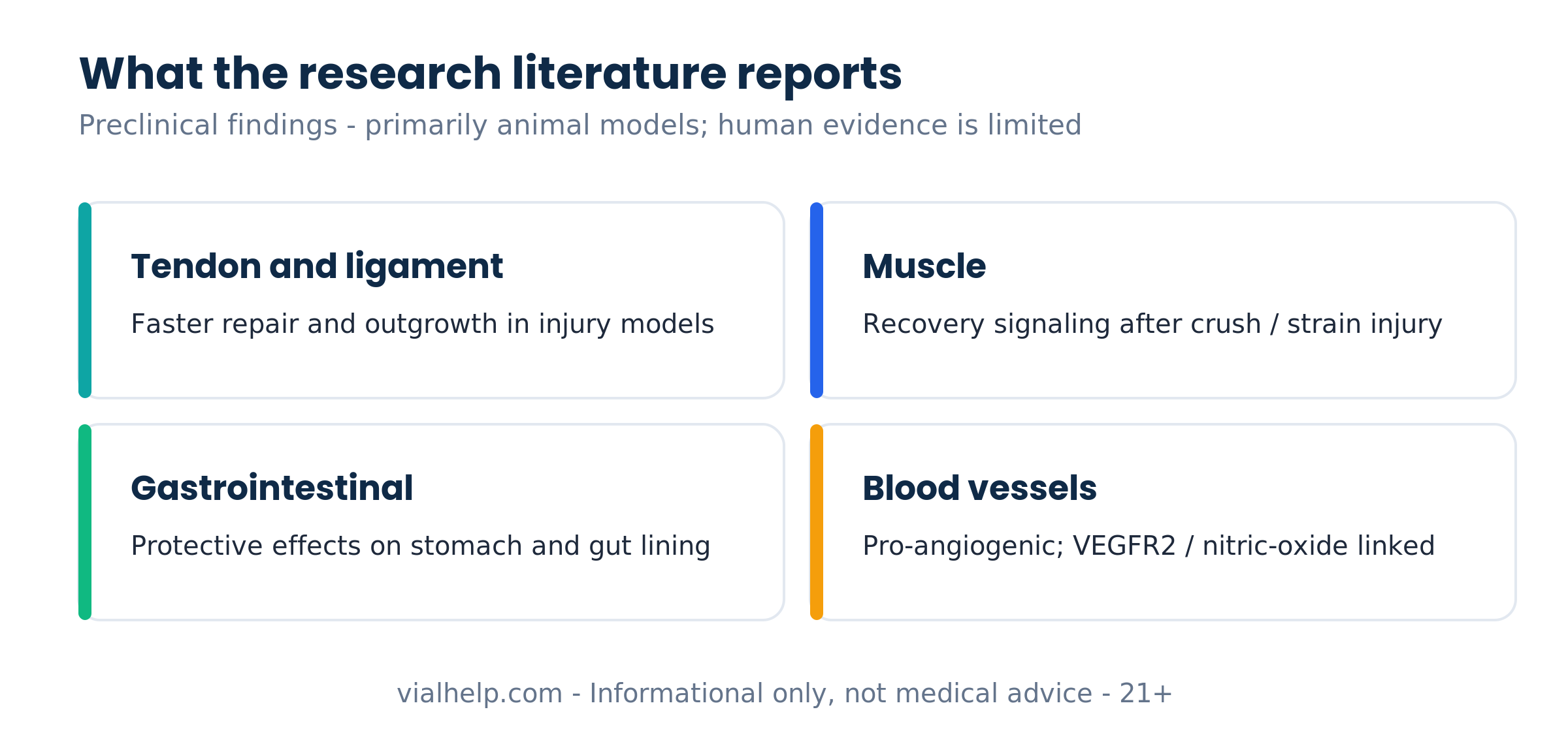 BPC-157 research areas reported in the literature: tendon and ligament, muscle, gastrointestinal tract and blood vessels (preclinical)