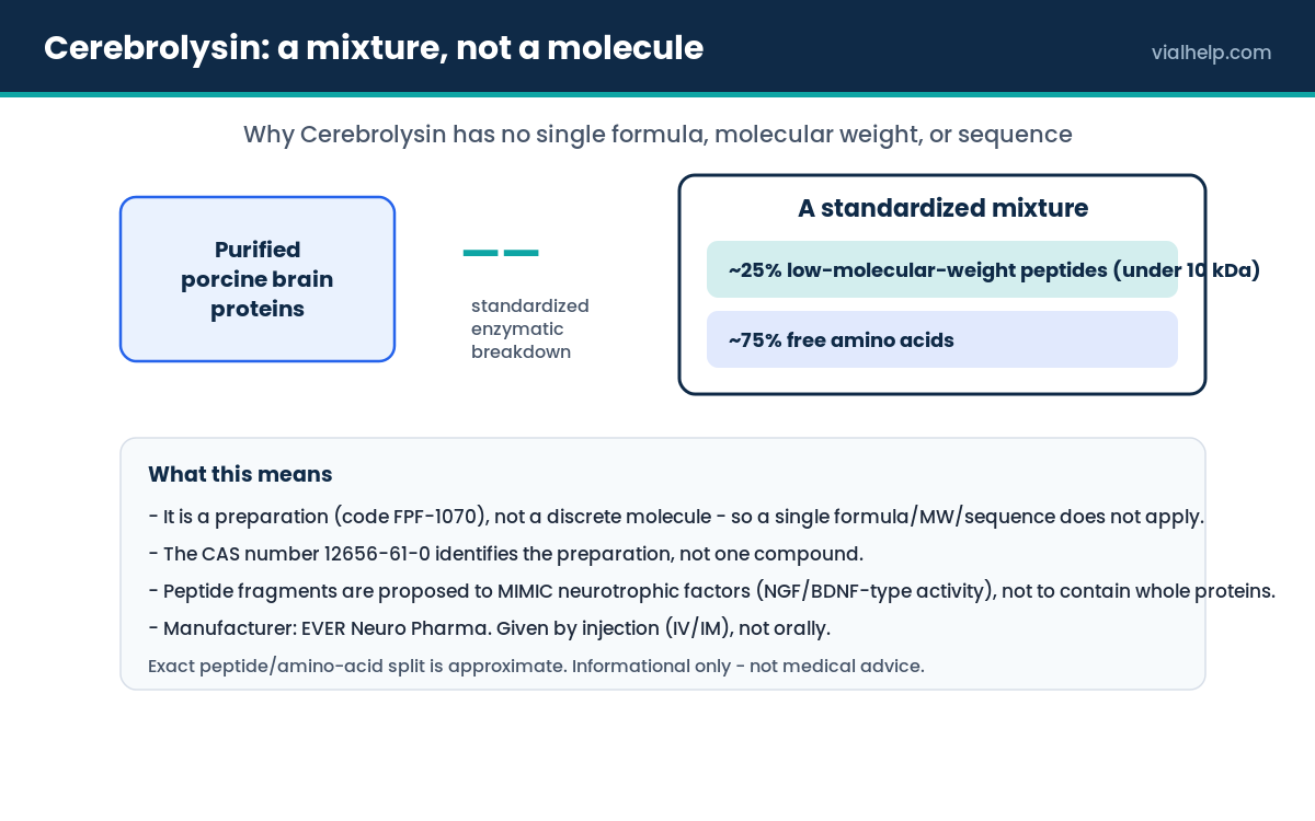 Diagram showing Cerebrolysin is a standardized mixture of low-molecular-weight peptides and free amino acids from porcine brain, not a single molecule