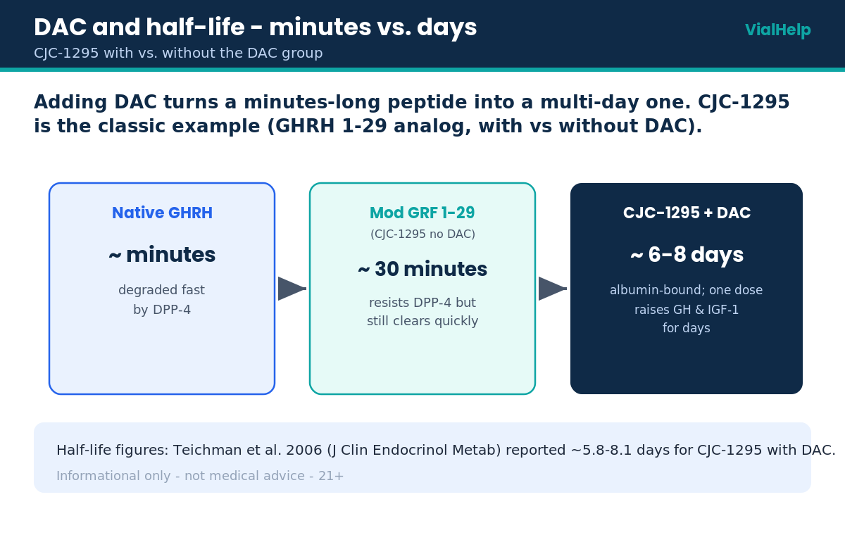Comparison of peptide half-life from minutes for native GHRH to days for CJC-1295 with DAC