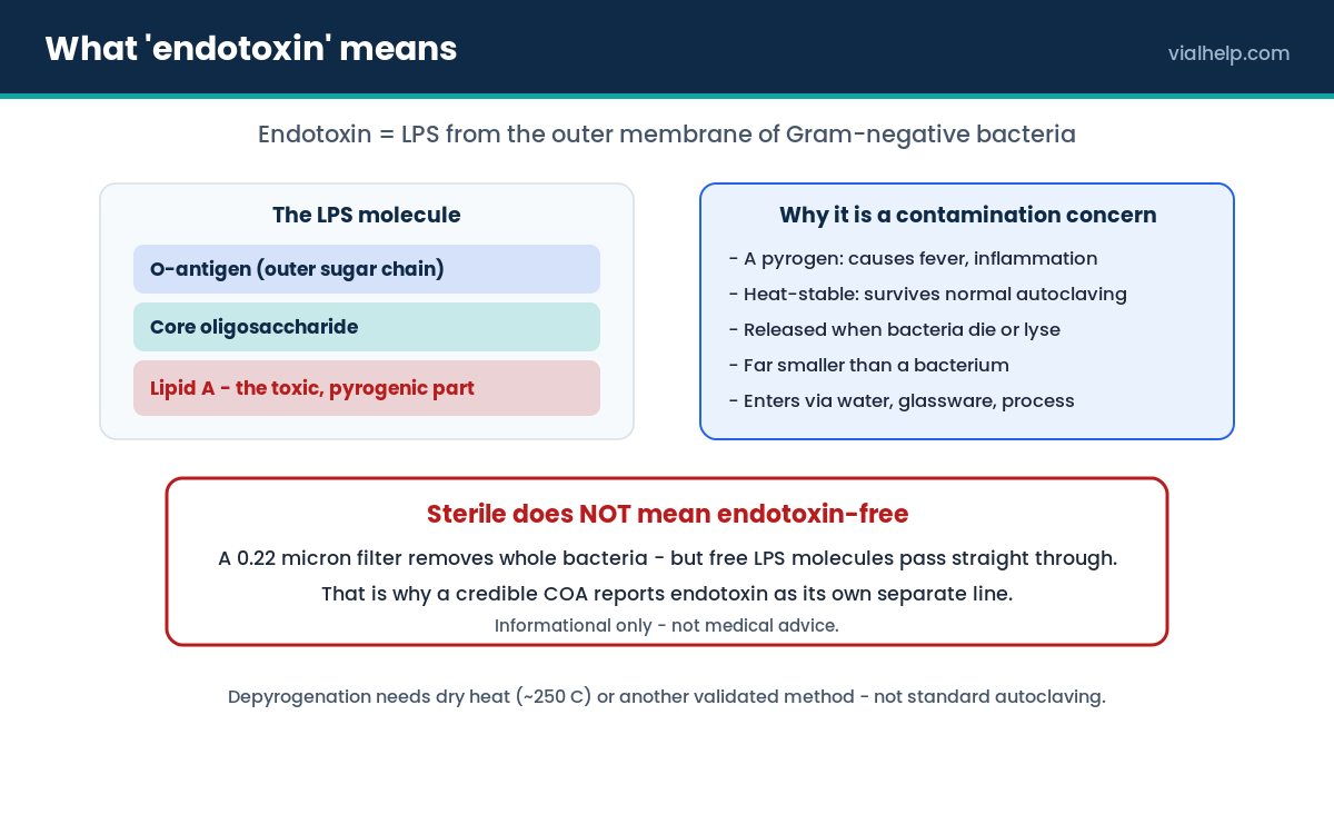 Endotoxin LPS structure (O-antigen, core, lipid A) and why sterile-filtered material can still contain endotoxin