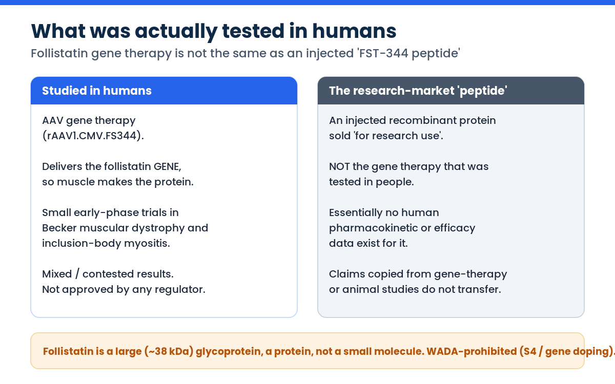 Follistatin gene therapy studied in humans versus a research-market follistatin-344 peptide