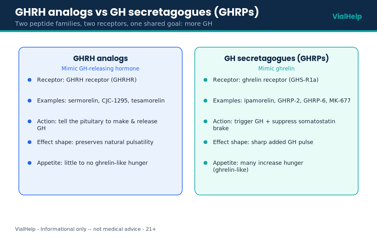 GHRH vs GHRP comparison of GHRH analogs versus GH secretagogues by receptor, examples and effects