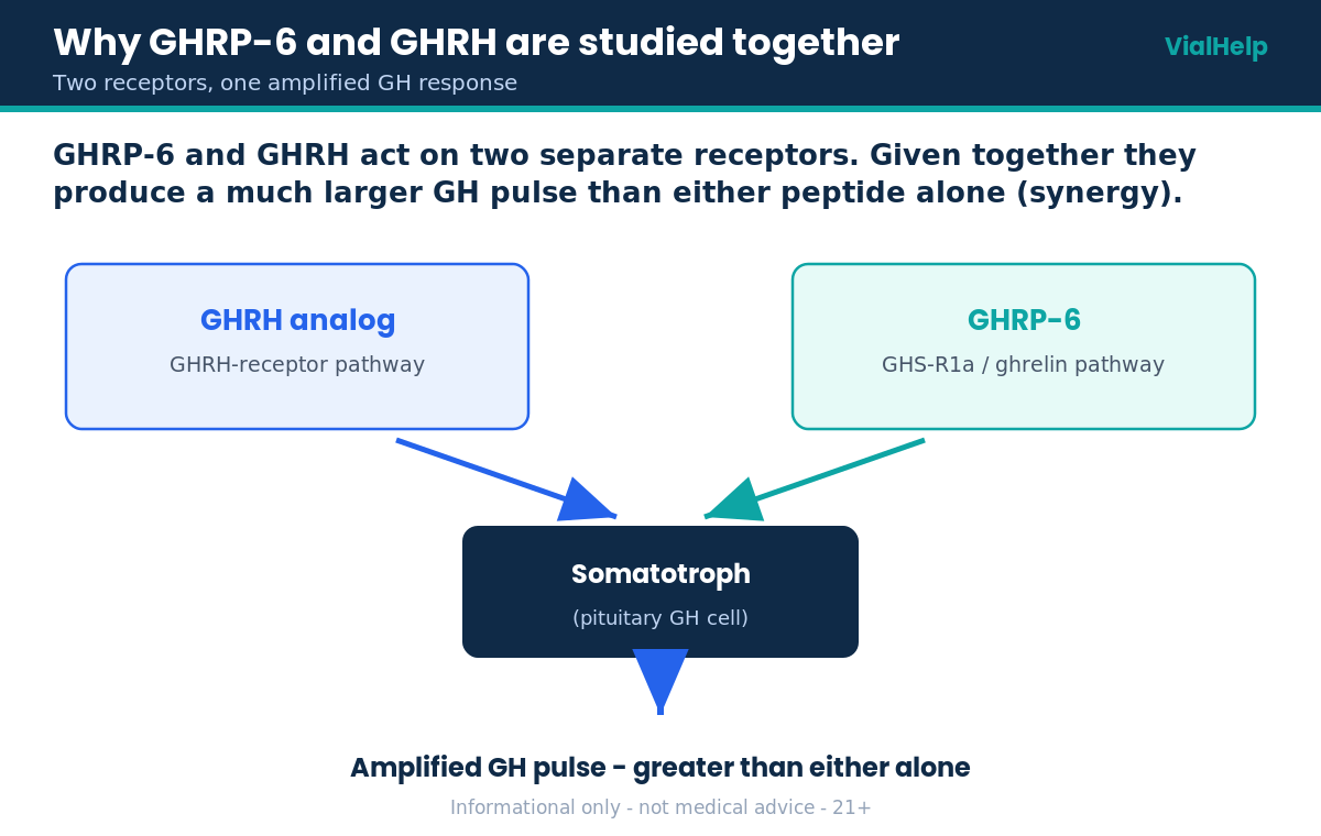 Diagram showing GHRP-6 and GHRH acting on two receptors to amplify the growth hormone pulse