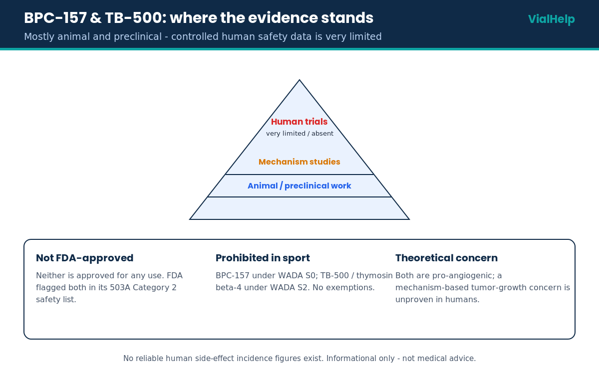 BPC-157 and TB-500 side effects evidence pyramid: mostly animal and preclinical with very limited human safety data