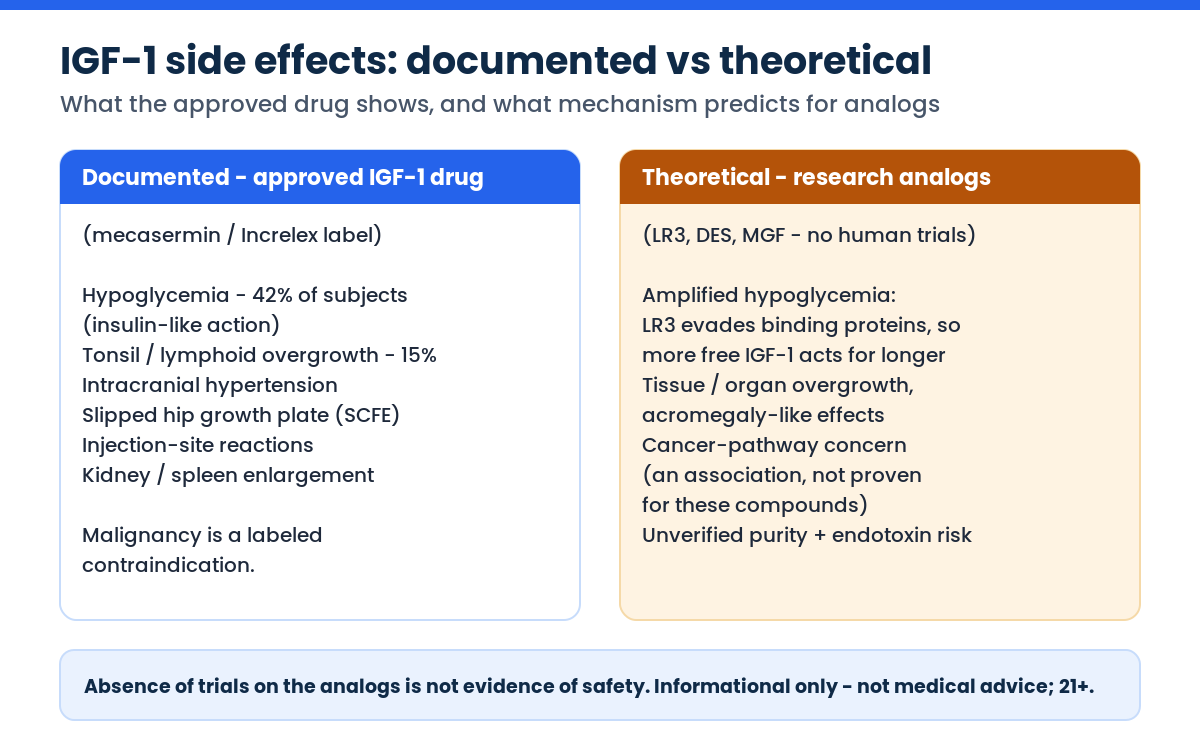 IGF-1 documented side effects versus theoretical risks of research analogs LR3 DES MGF