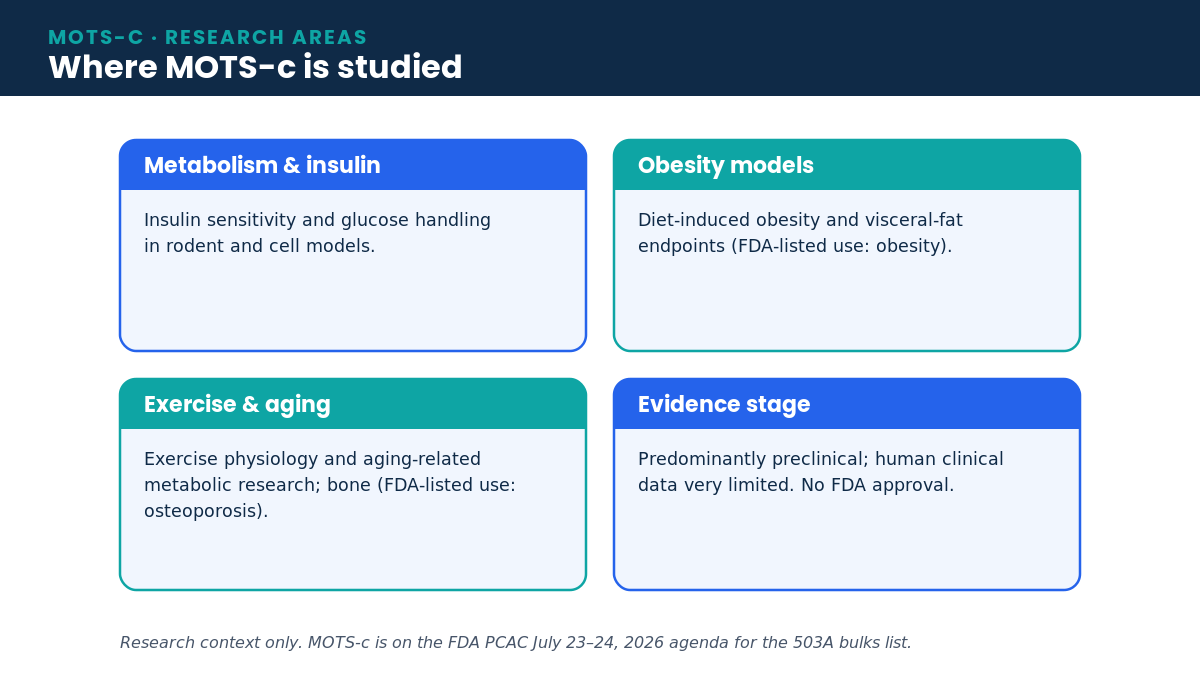 Diagram of MOTS-c research areas: metabolism and insulin, obesity models, exercise and aging, and evidence stage