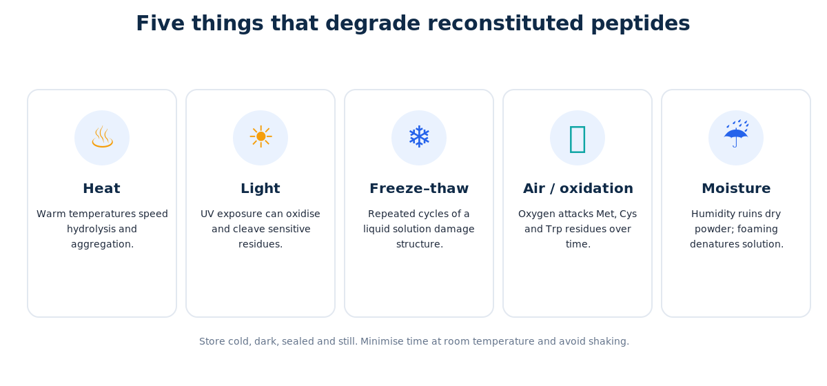 The main enemies of a reconstituted peptide: heat, light, repeated freeze-thaw, oxidation and moisture.