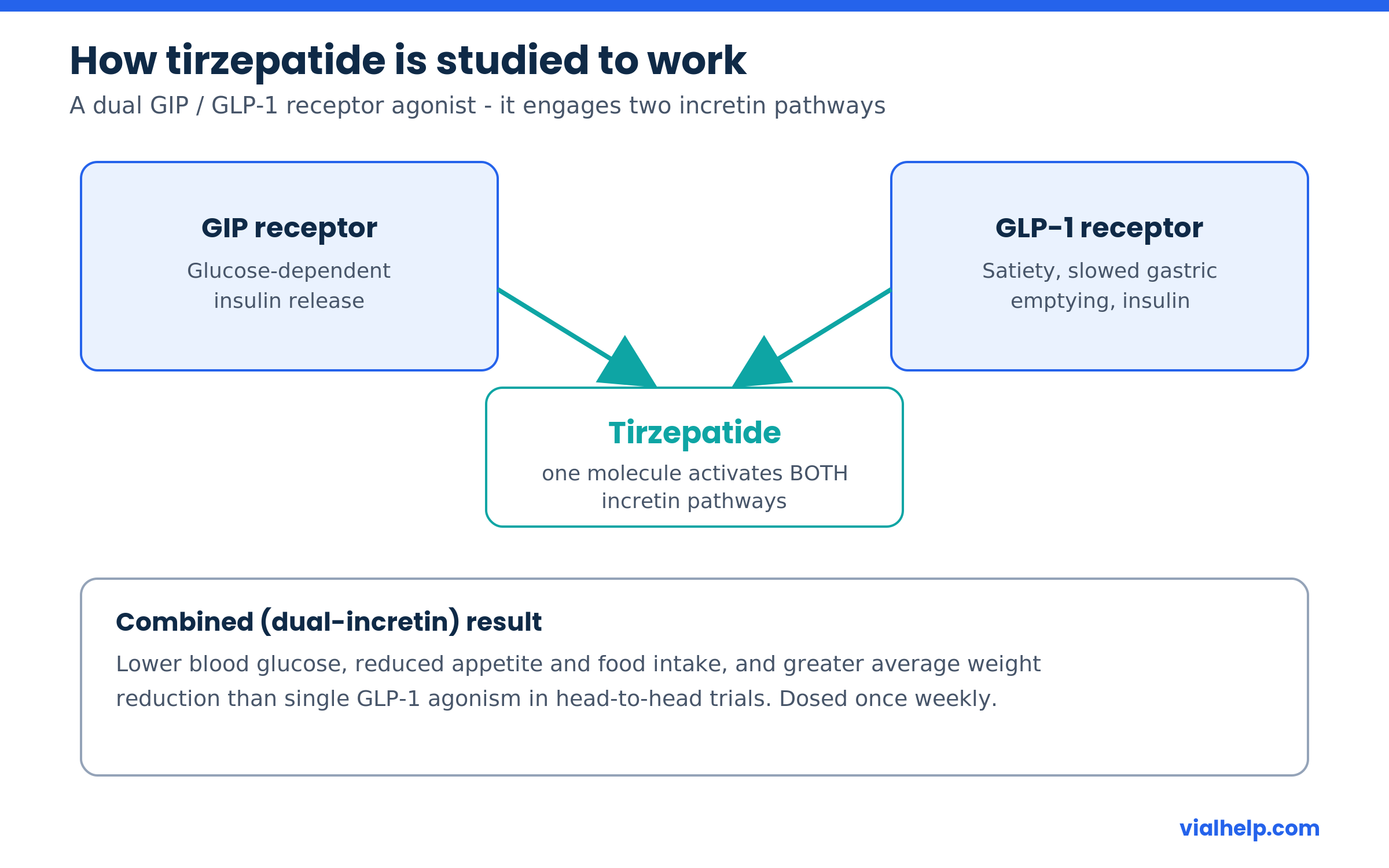Diagram of how tirzepatide works as a dual GIP and GLP-1 receptor agonist
