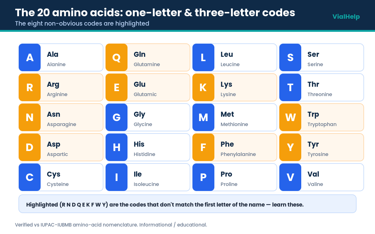 Reading a peptide sequence amino acid one-letter and three-letter codes
