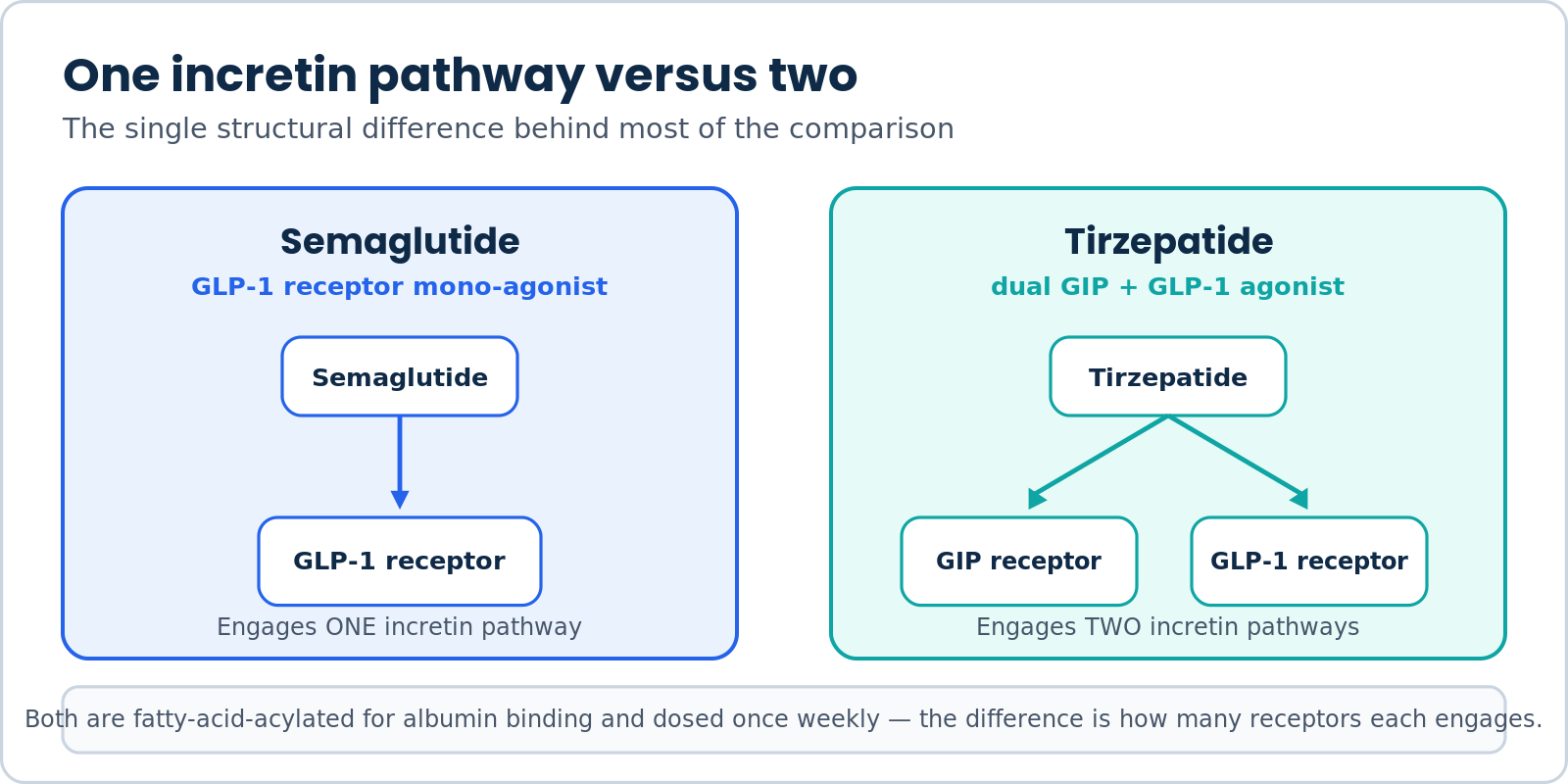 Diagram comparing semaglutide as a GLP-1 receptor mono-agonist with tirzepatide as a dual GIP and GLP-1 receptor agonist