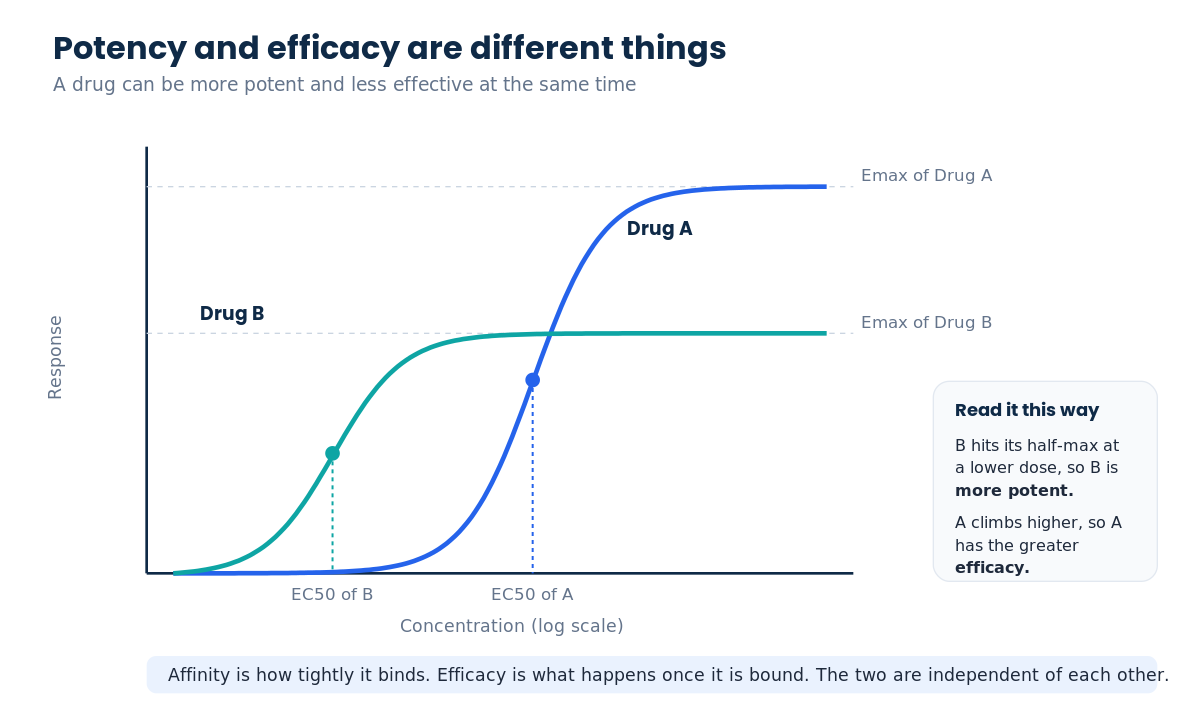 Dose-response curves showing EC50 potency and Emax efficacy are independent properties of an agonist
