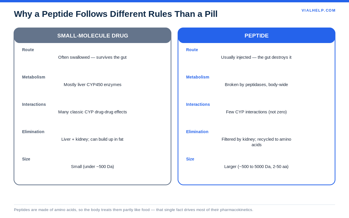 Peptide pharmacokinetics versus small-molecule drugs: route, metabolism, interactions, elimination, size