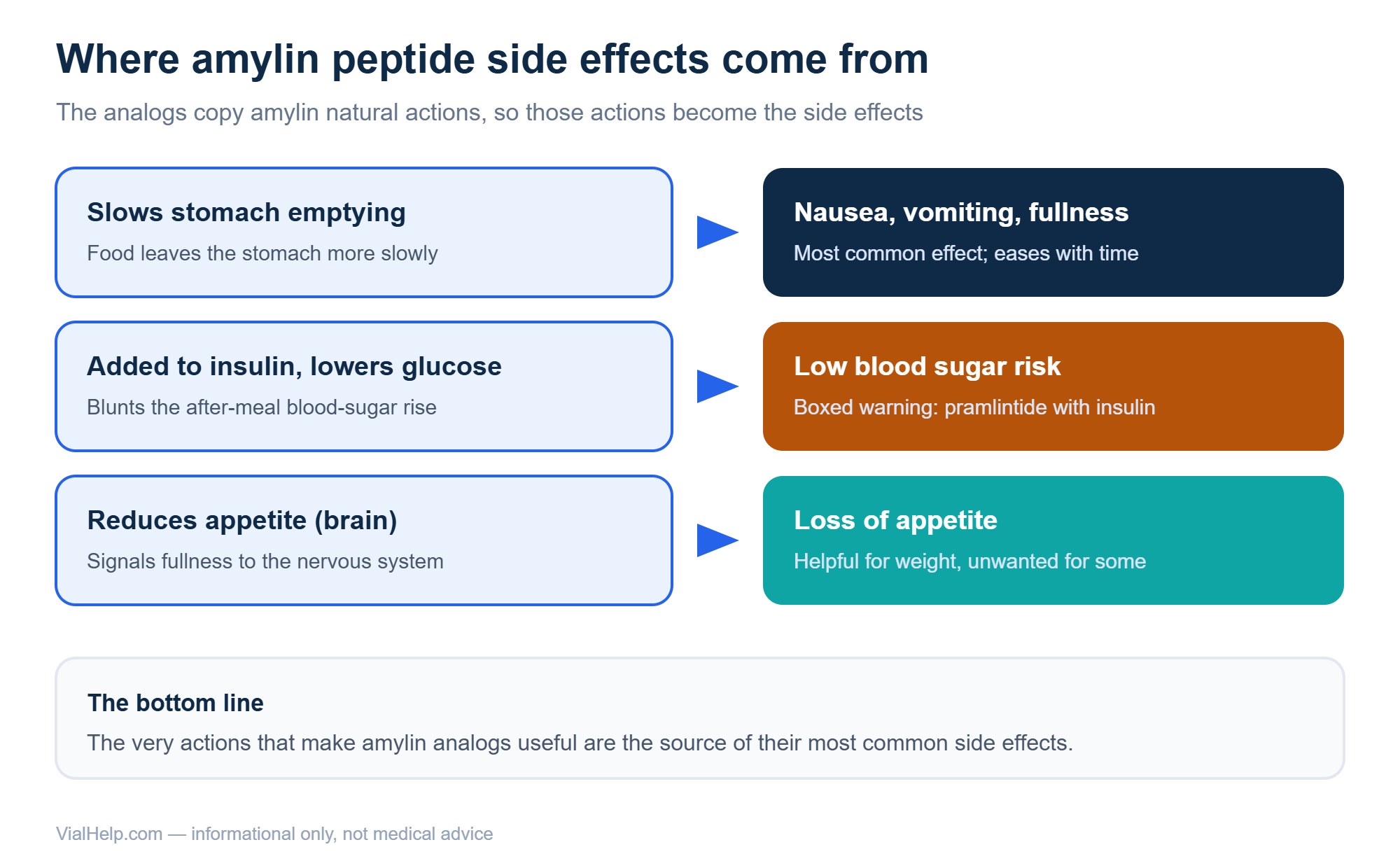 Diagram mapping amylin peptide side effects to amylin actions