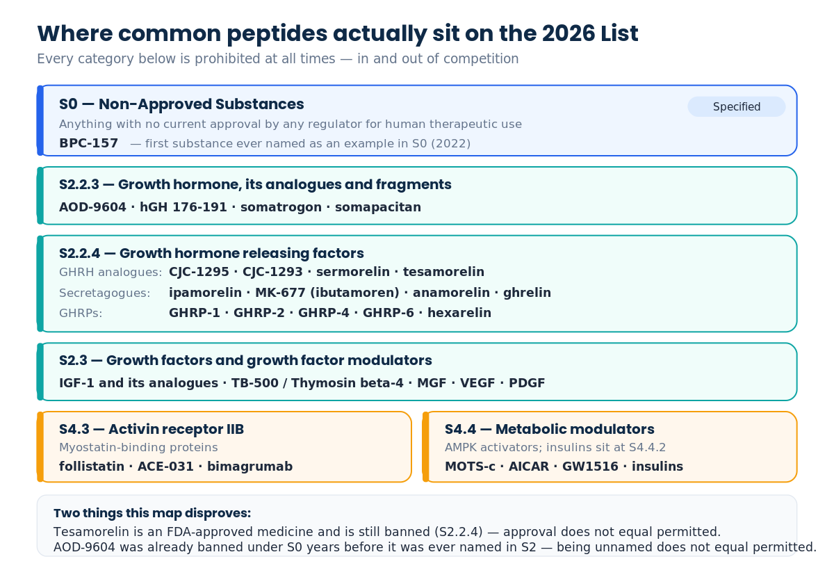 Map of where common peptides sit on the 2026 WADA prohibited list across categories S0, S2 and S4
