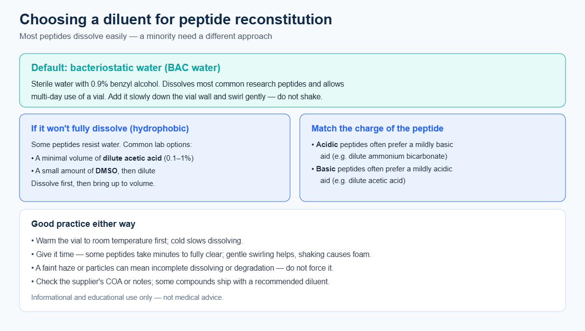 Guide to choosing a peptide diluent: bacteriostatic water as default, dilute acetic acid or DMSO for hydrophobic peptides, and matching diluent to peptide charge