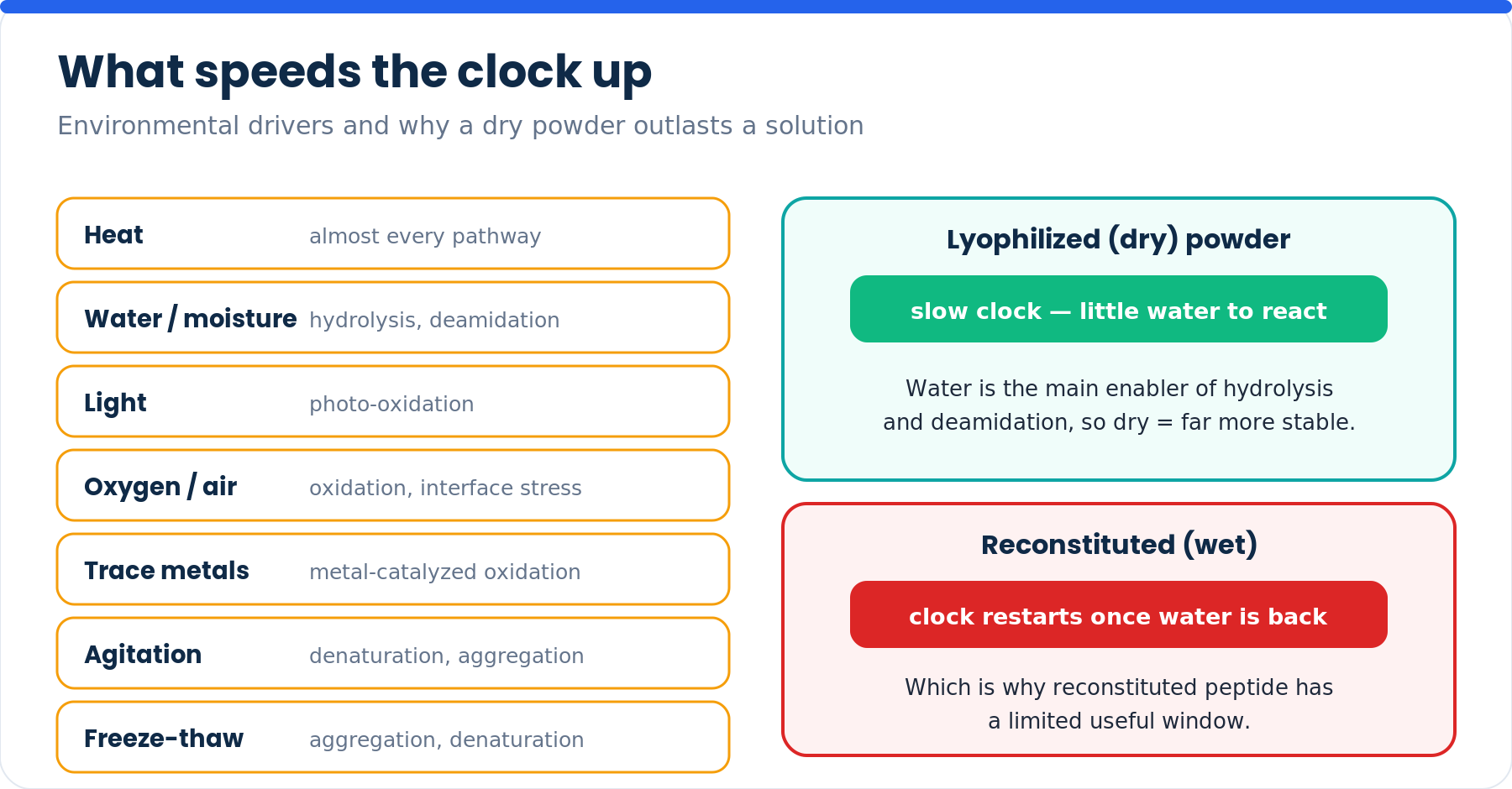 Diagram of environmental drivers of peptide degradation and why dry powder is more stable