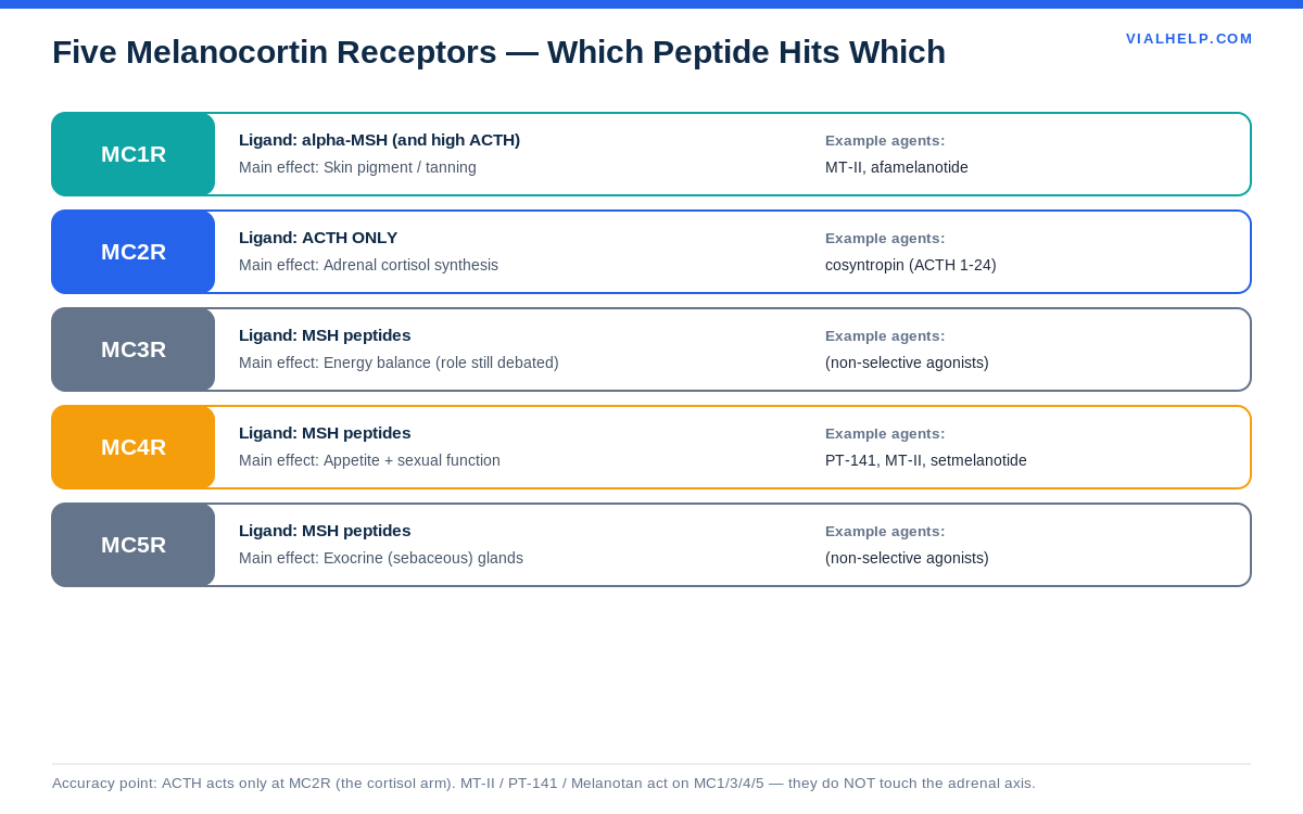 The five melanocortin receptors MC1R to MC5R and which peptides act on each