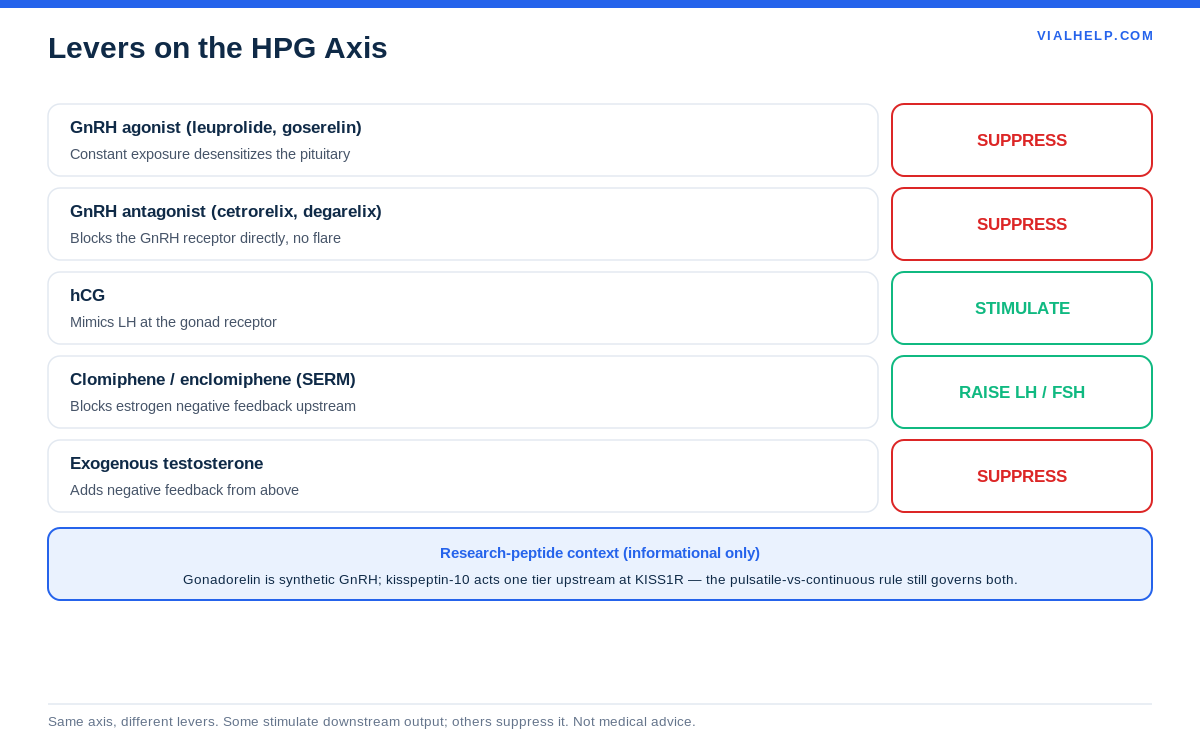 Drugs and research peptides that act on the HPG axis and whether they stimulate or suppress it