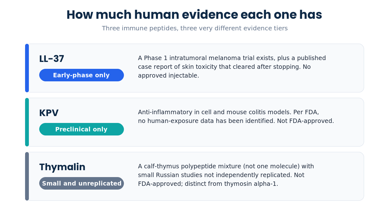 Immune peptide side effects evidence tiers: LL-37, KPV, and thymalin