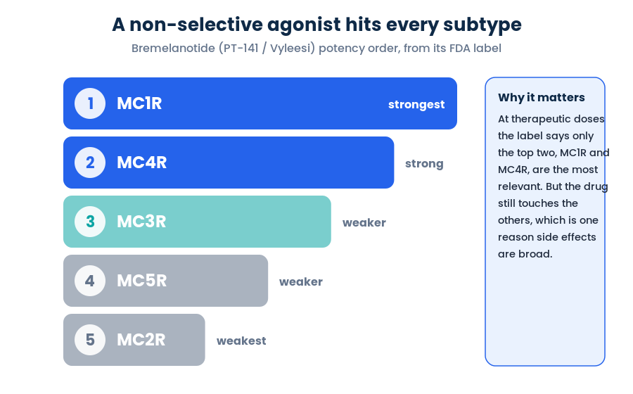 Bremelanotide potency order across melanocortin receptors MC1R MC4R MC3R MC5R MC2R