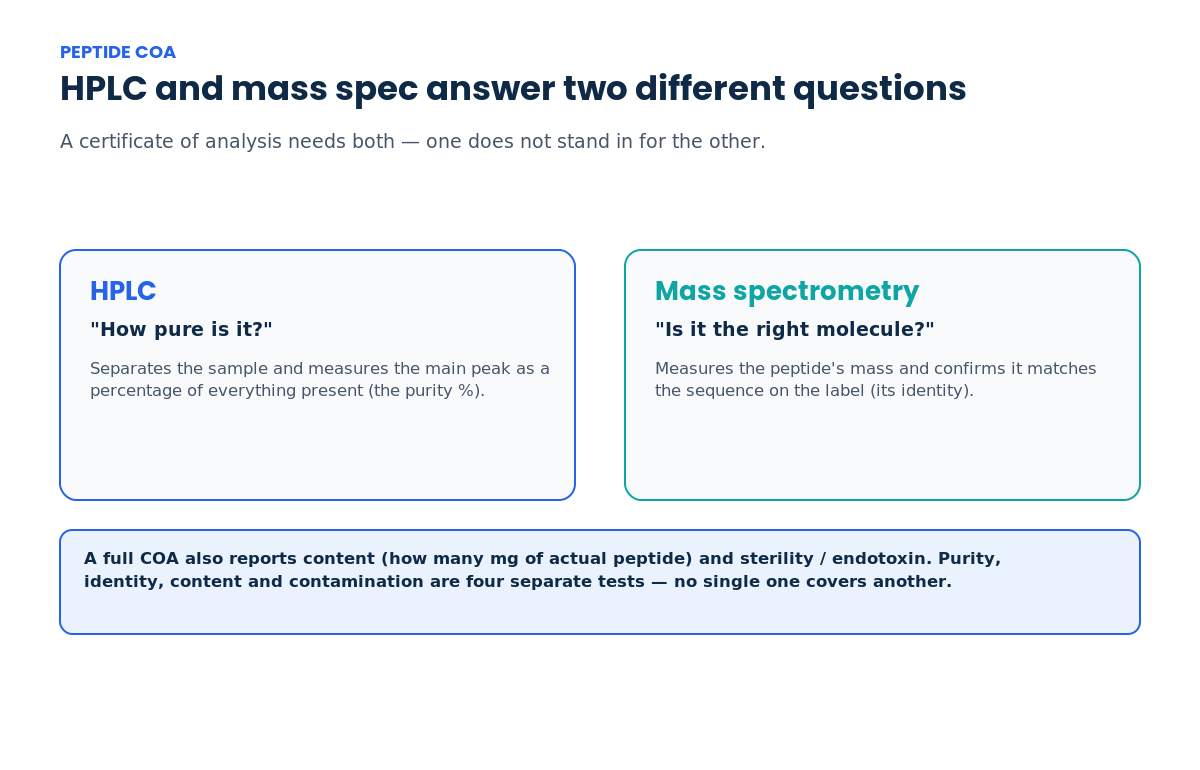 Diagram contrasting HPLC purity testing with peptide mass spectrometry identity confirmation on a certificate of analysis, noting content and sterility are separate tests
