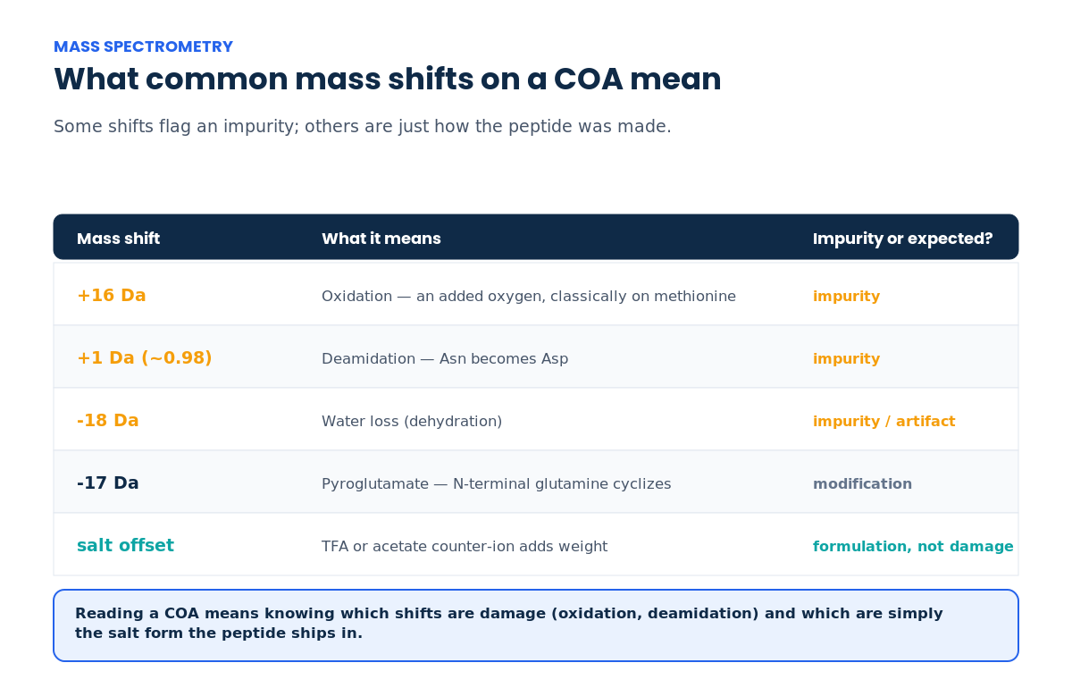 Table of common peptide mass spectrometry mass shifts and their meaning: +16 Da oxidation, +1 Da deamidation, -18 Da water loss, -17 Da pyroglutamate, and salt counter-ion offsets