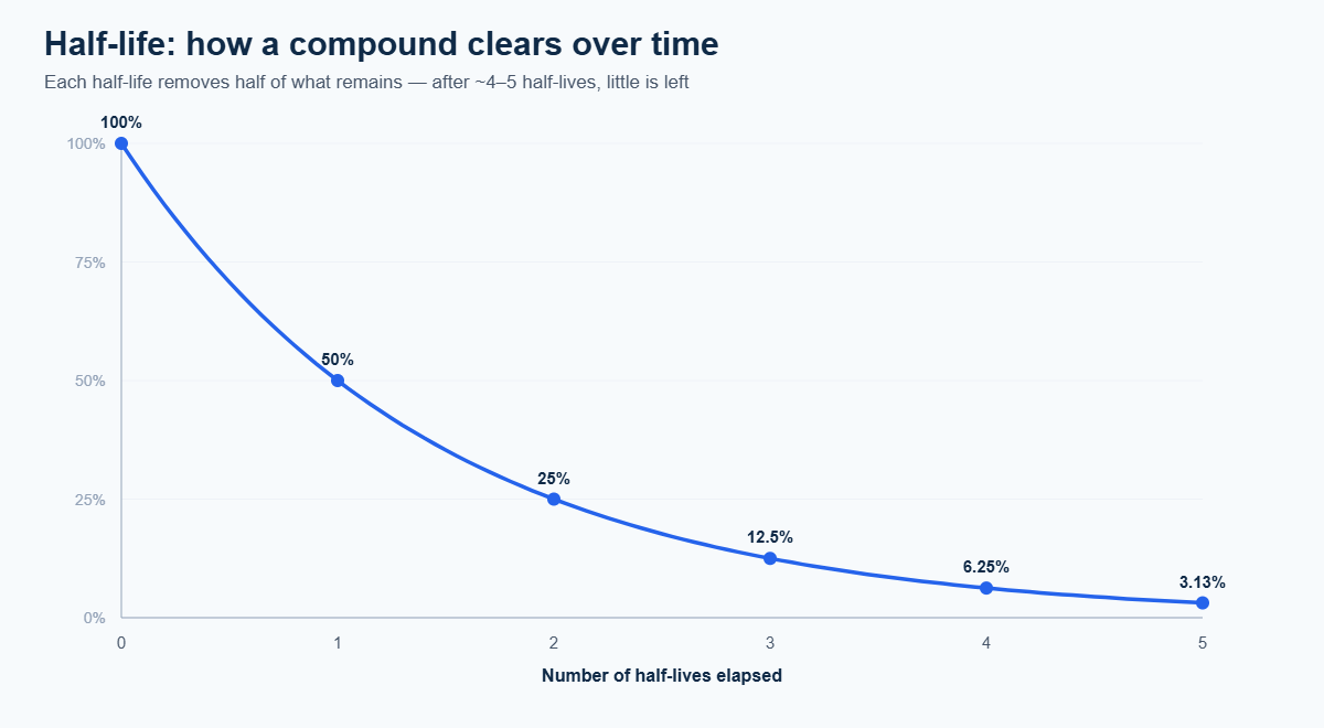 Exponential decay curve showing a peptide half-life: 50% remains after one half-life, 25% after two, dropping to near zero by five
