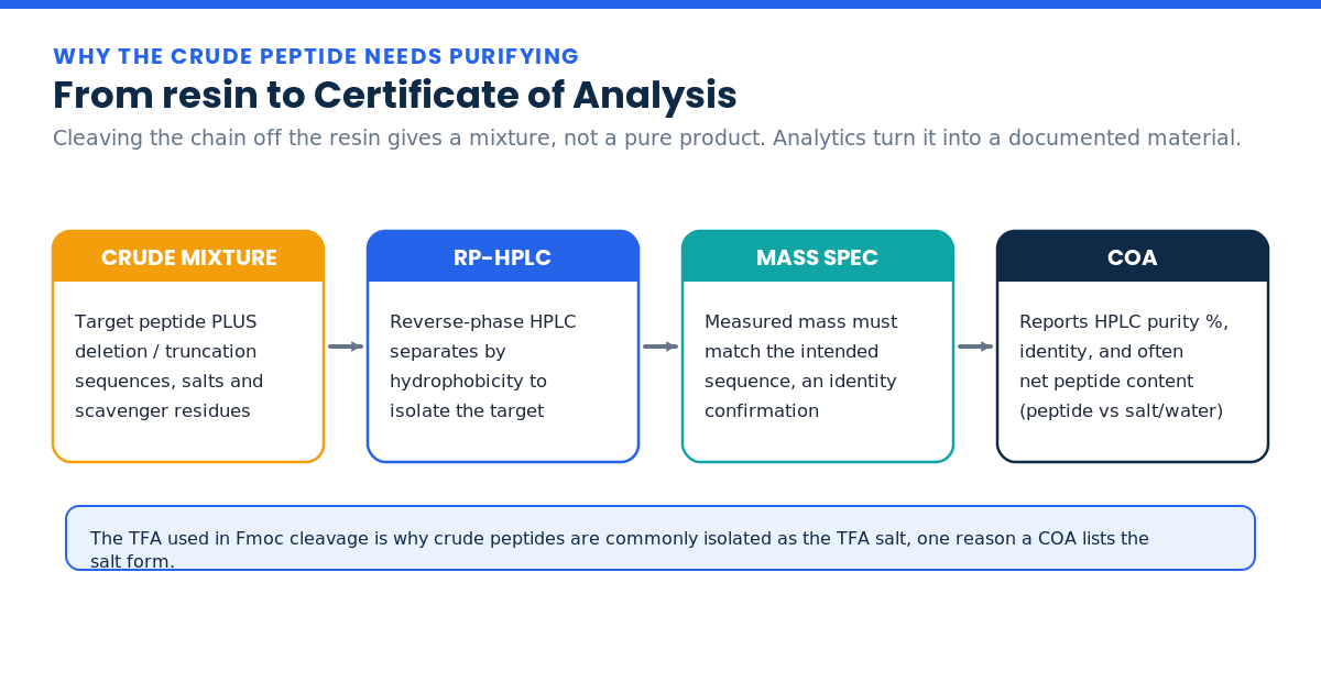 From crude peptide to Certificate of Analysis: RP-HPLC purification, mass spec, COA