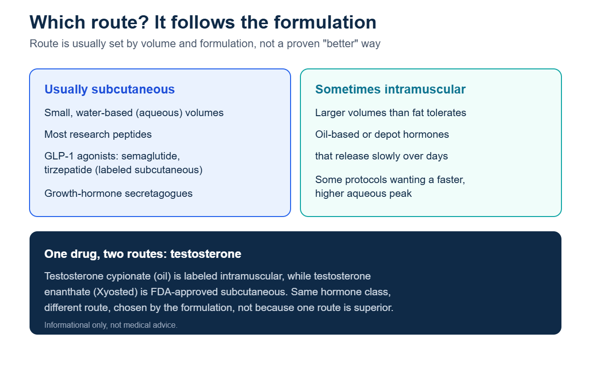 Graphic explaining injection route follows formulation: most research peptides and GLP-1 agonists like semaglutide and tirzepatide are subcutaneous, while larger volumes and oil-based depot hormones use intramuscular, with testosterone cypionate IM versus enanthate subcutaneous as an example