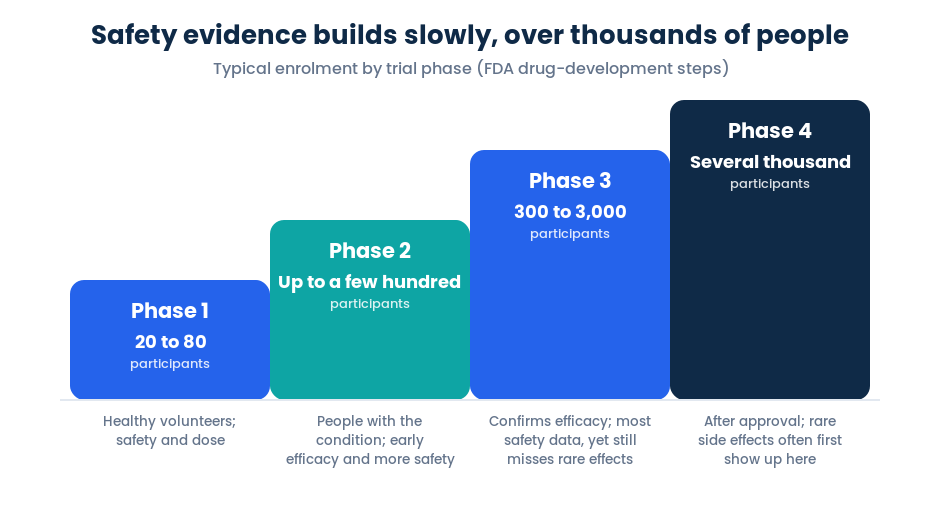 Clinical trial phases 1 to 4 and typical participant numbers, from FDA drug development steps