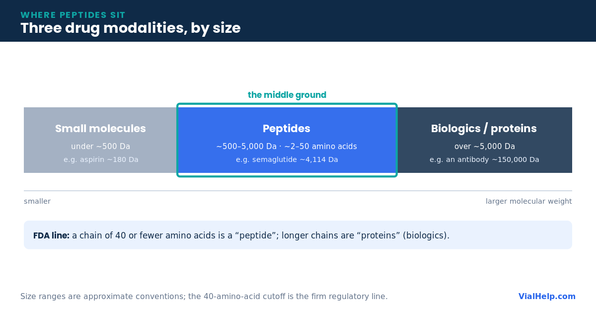 Size spectrum placing peptides between small-molecule drugs under 500 daltons and biologics over 5000 daltons
