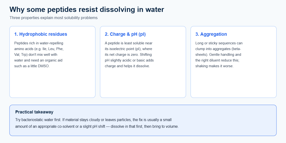 Explainer of three reasons peptides resist dissolving in water: hydrophobic residues, charge and isoelectric point (pI), and aggregation, with a practical takeaway