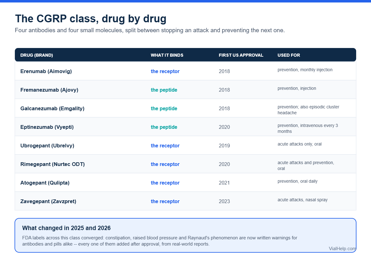 Table of CGRP migraine drugs with first approval years, targets and acute versus preventive use