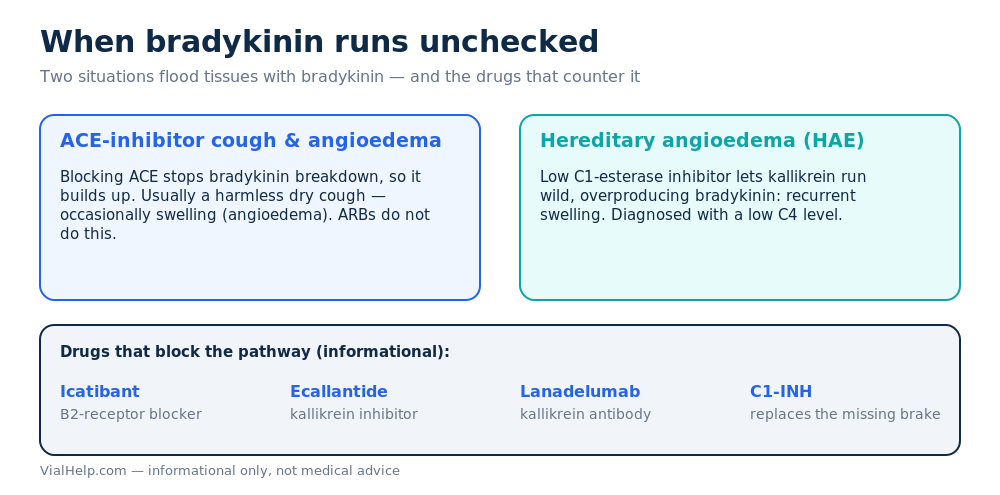 Unchecked bradykinin in ACE-inhibitor angioedema and hereditary angioedema, and the drugs that block it