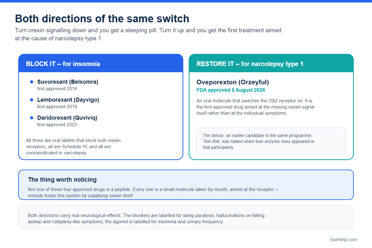 Diagram comparing orexin receptor antagonists used for insomnia with the orexin agonist oveporexton approved for narcolepsy type 1