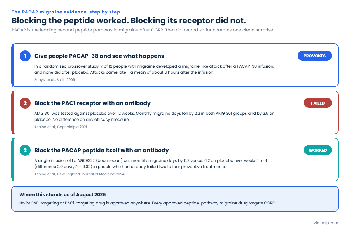 Evidence ladder showing that a PACAP-38 infusion provokes migraine attacks, that the anti-PAC1 antibody AMG 301 failed, and that the anti-PACAP antibody Lu AG09222 reduced monthly migraine days