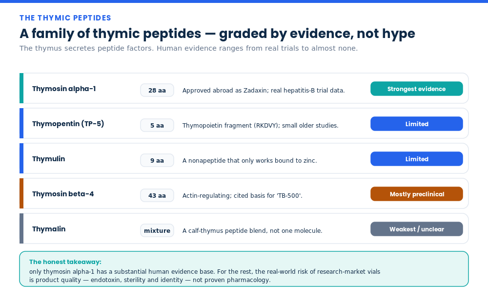 Comparison of thymic peptides — thymosin alpha-1, thymopentin, thymulin, thymosin beta-4 and thymalin — graded by strength of human evidence