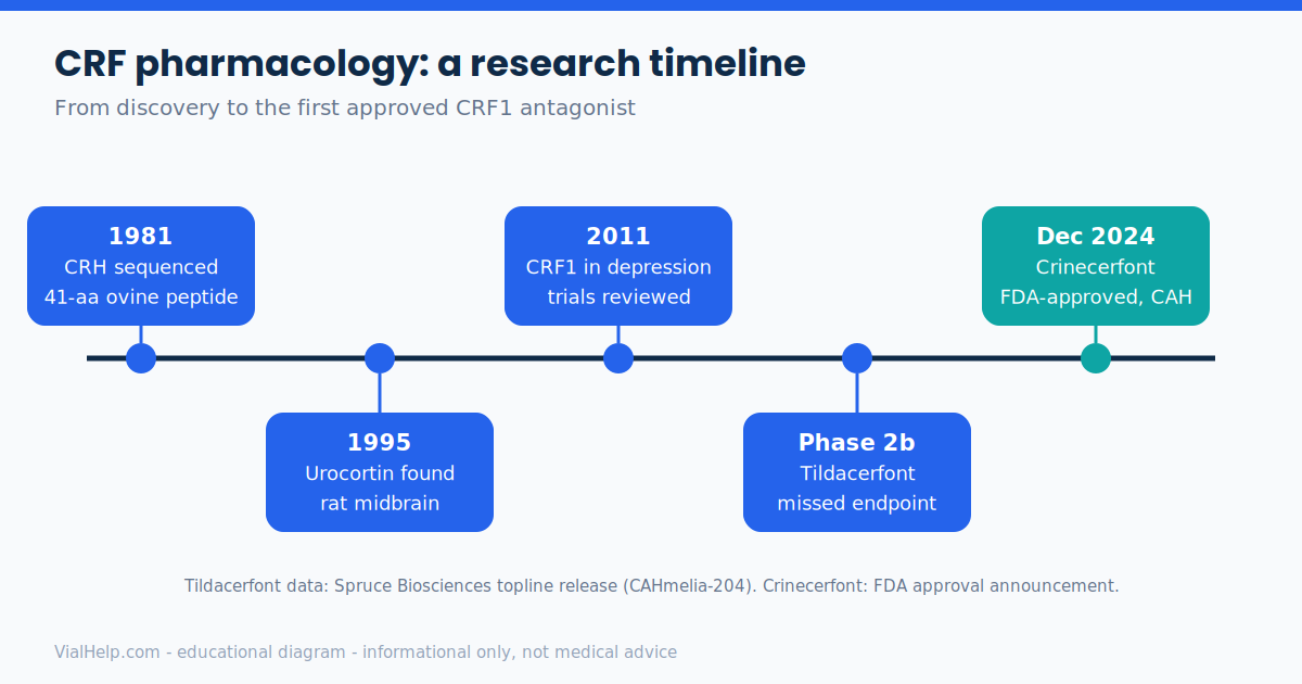 Timeline of corticotropin-releasing hormone research from 1981 sequencing to the 2024 FDA approval of crinecerfont
