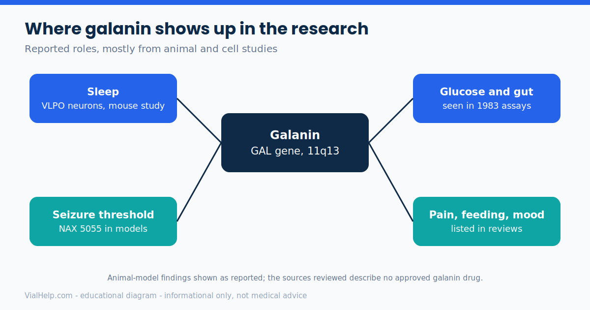 Map of reported galanin roles in sleep, seizure threshold, glucose and gut, and pain, feeding and mood research