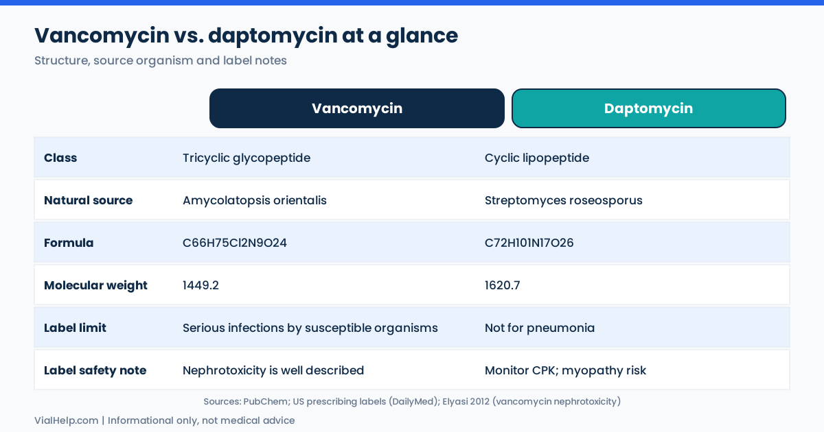 Comparison table of vancomycin and daptomycin peptide antibiotics: class, source organism, formula, molecular weight and label notes