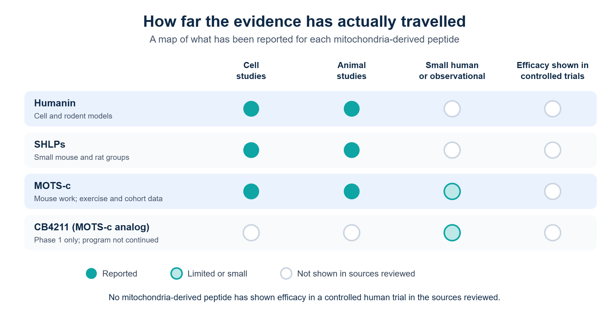 Evidence map showing how far each mitochondria-derived peptide has progressed from cell studies to human trials