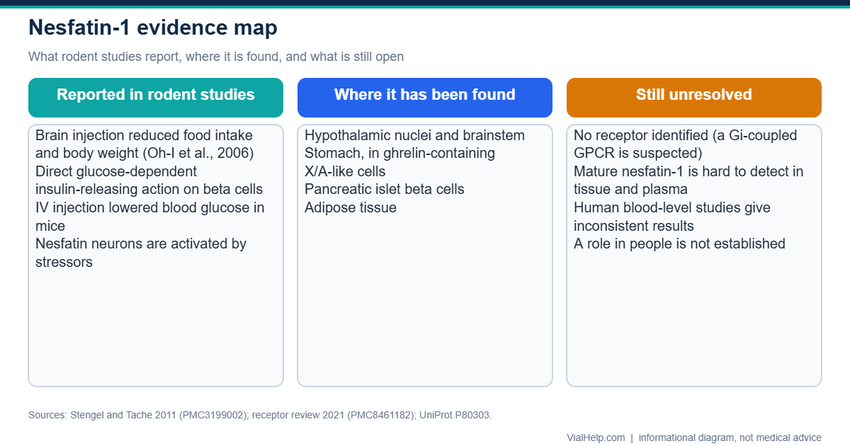 Evidence map for nesfatin-1: rodent findings, tissues where it is found, and unresolved questions including the receptor and human data