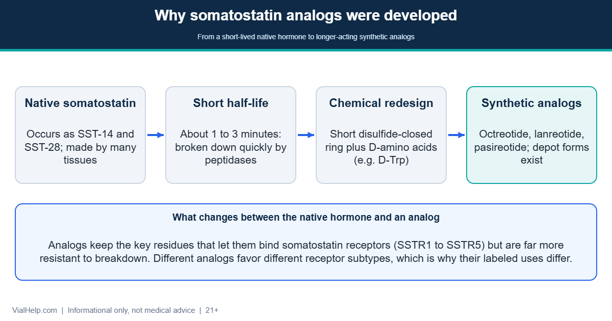 Diagram of why somatostatin analogs were developed: native somatostatin is cleared in minutes, so shorter, D-amino-acid-containing analogs were made